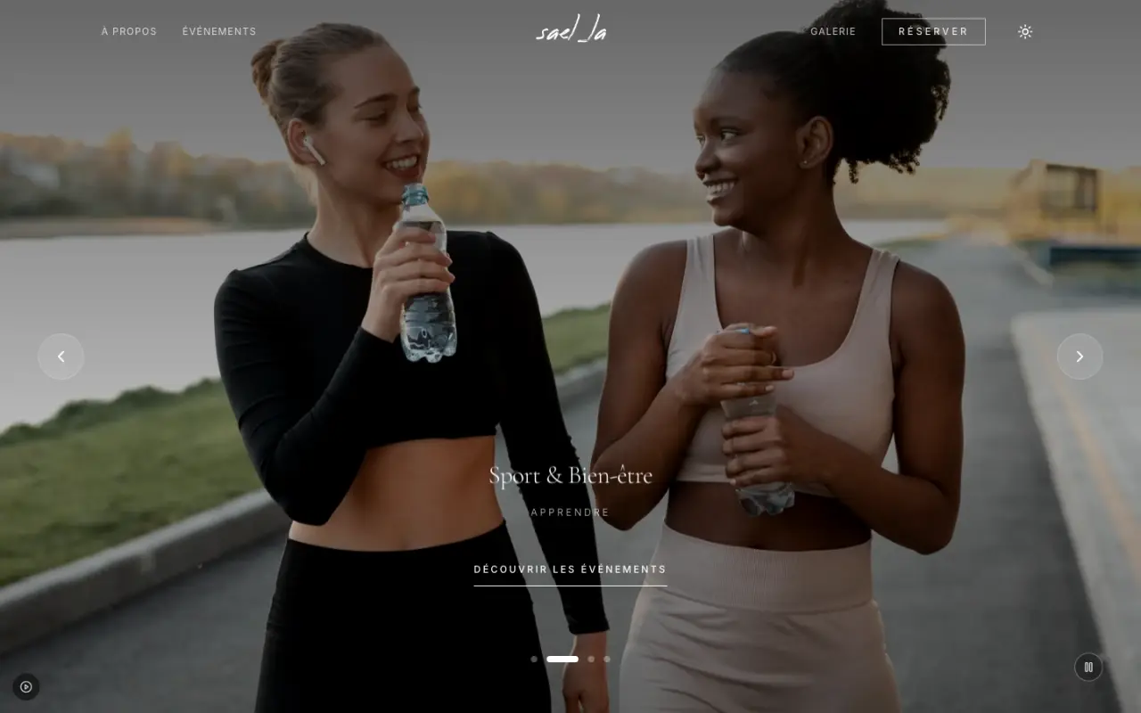 Screenshot of the Sael_la website